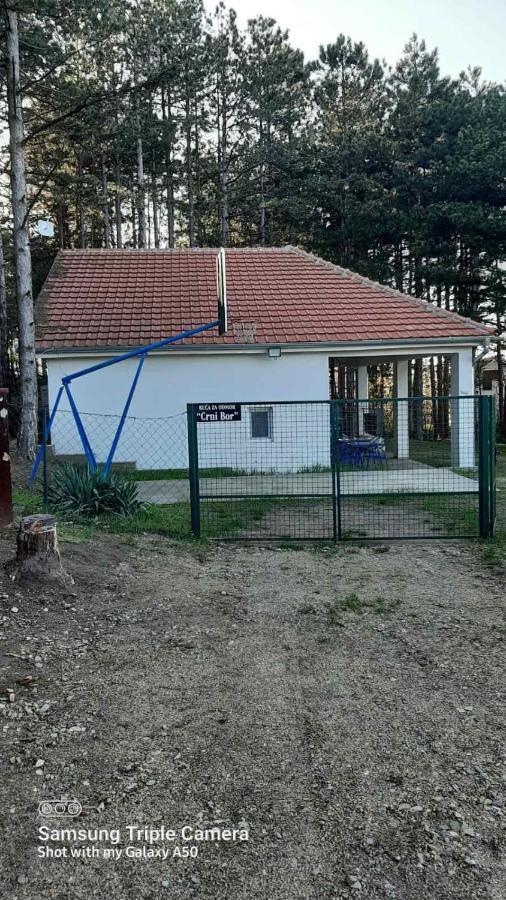 Apartamento Kuca Za Odmor "Crni Bor" Golubac Exterior foto