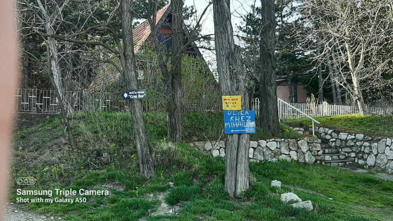 Apartamento Kuca Za Odmor "Crni Bor" Golubac Exterior foto