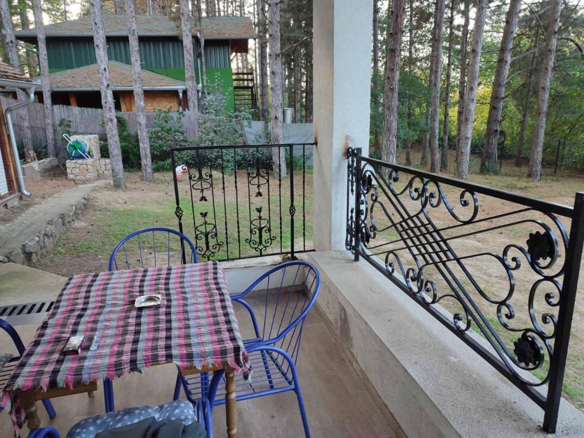 Apartamento Kuca Za Odmor "Crni Bor" Golubac Exterior foto