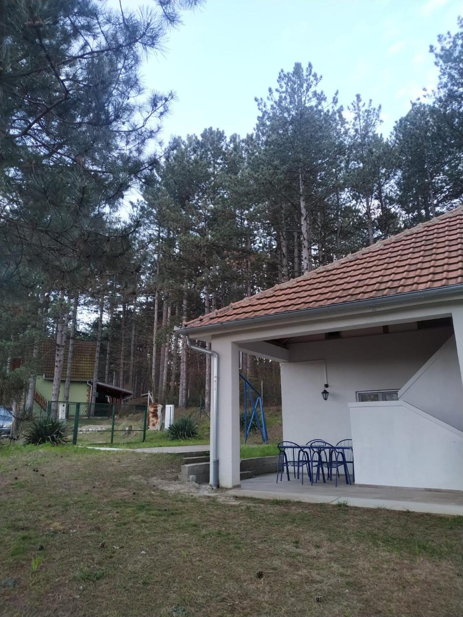 Apartamento Kuca Za Odmor "Crni Bor" Golubac Exterior foto