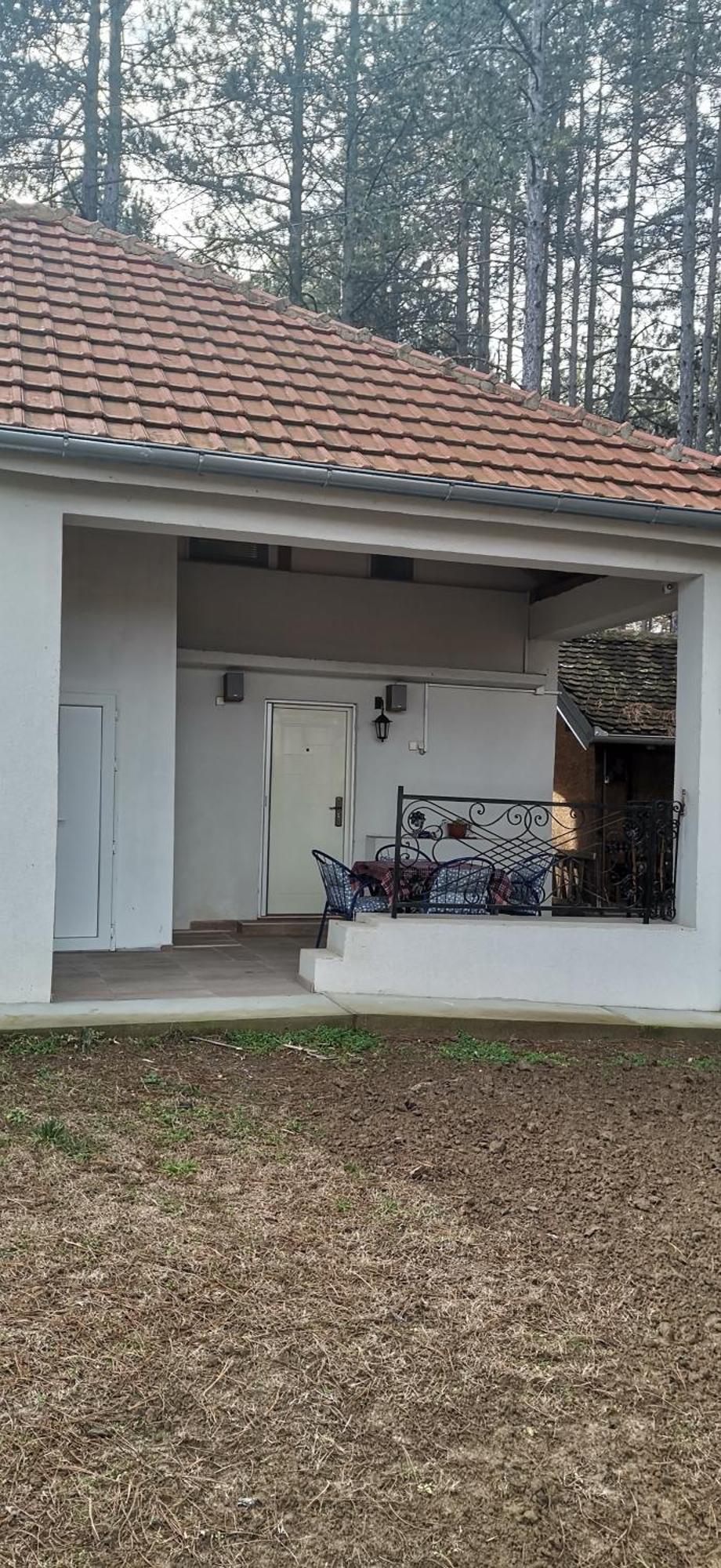 Apartamento Kuca Za Odmor "Crni Bor" Golubac Exterior foto